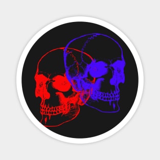 RED AND BLUE SKULL Magnet